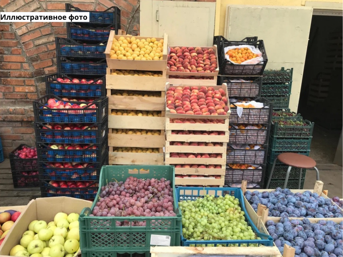 Купить Продукты Мелким Оптом